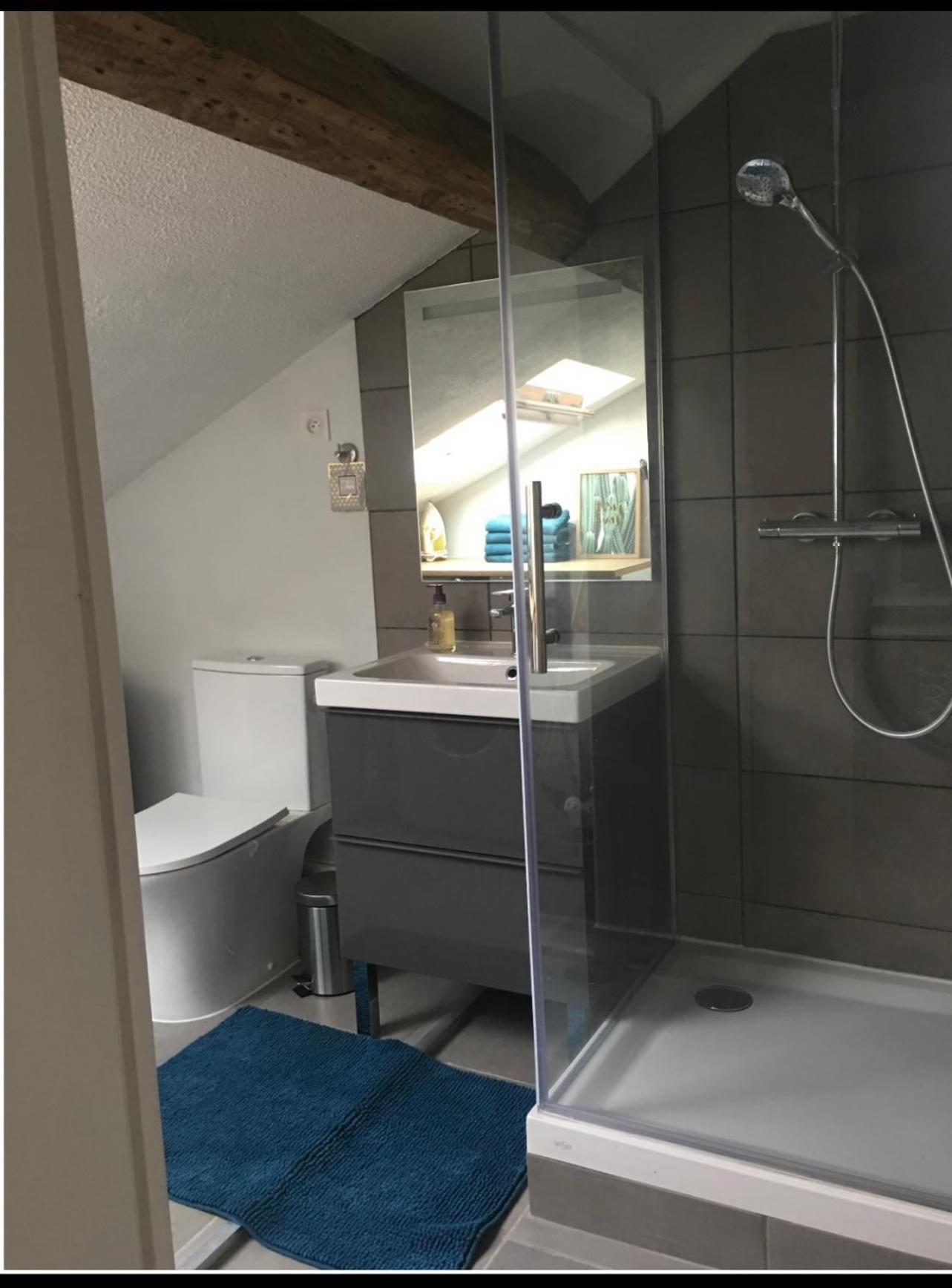 Jeanne Marie Apartment Bayonne Bagian luar foto